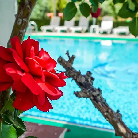 Hotel de apartamente Catty Cats Garden 3*