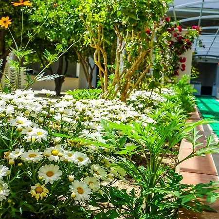 Hotel de apartamente Catty Cats Garden